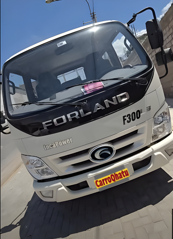 Forland F300 3Tn 2024